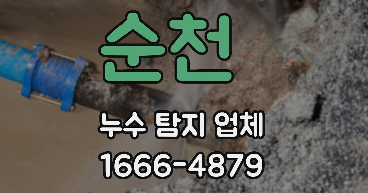 순천 누수 탐지 업체