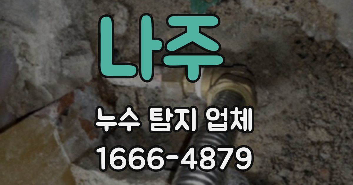 나주 누수 탐지 업체