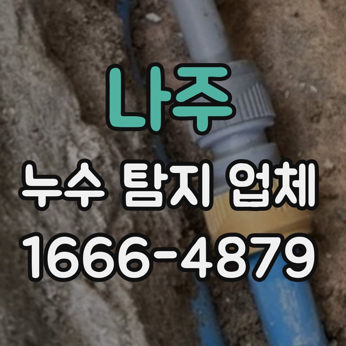 나주 누수 탐지 업체
