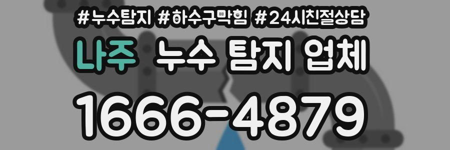 나주 누수 탐지 업체