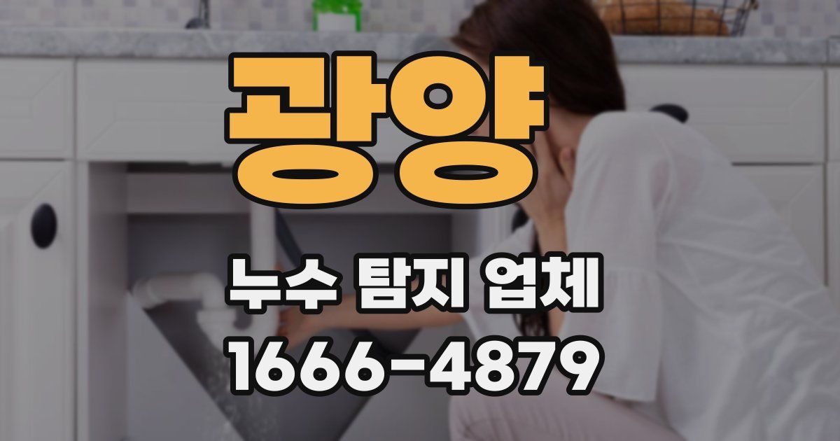 광양 누수 탐지 업체