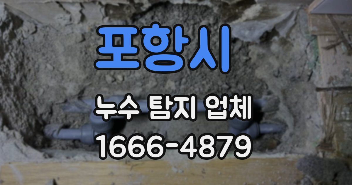포항시 누수 탐지 업체