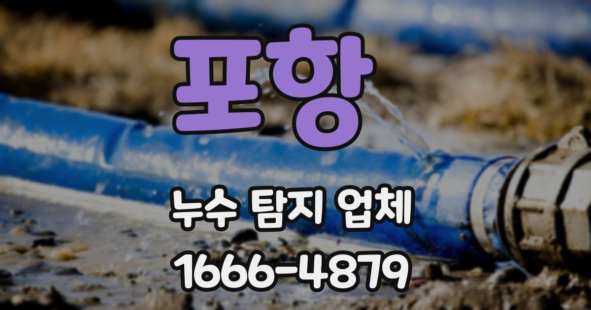 포항 누수 탐지 업체