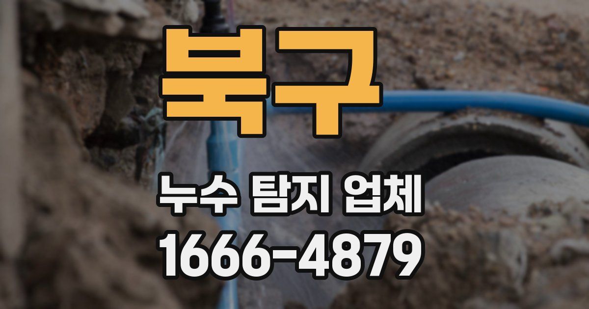 북구 누수 탐지 업체