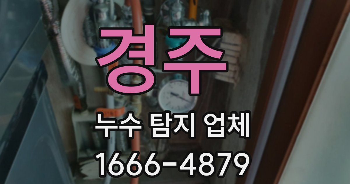 경주 누수 탐지 업체