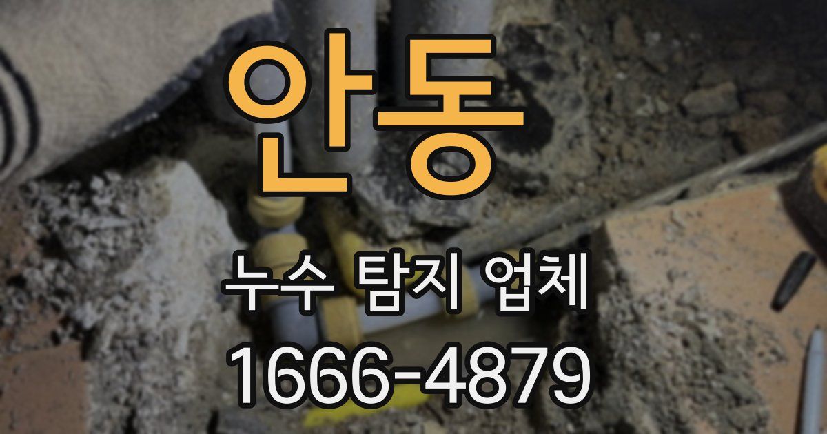 안동 누수 탐지 업체