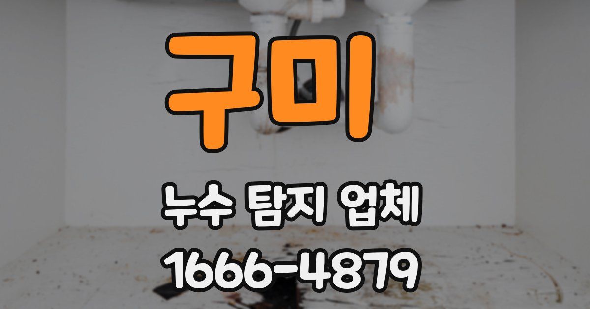 구미 누수 탐지 업체