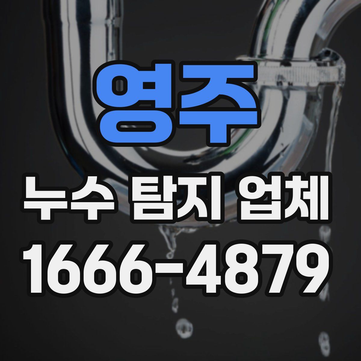 영주 누수 탐지 업체