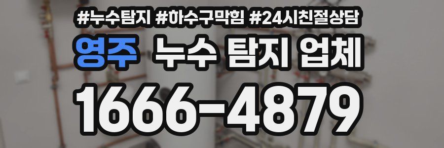 영주 누수 탐지 업체