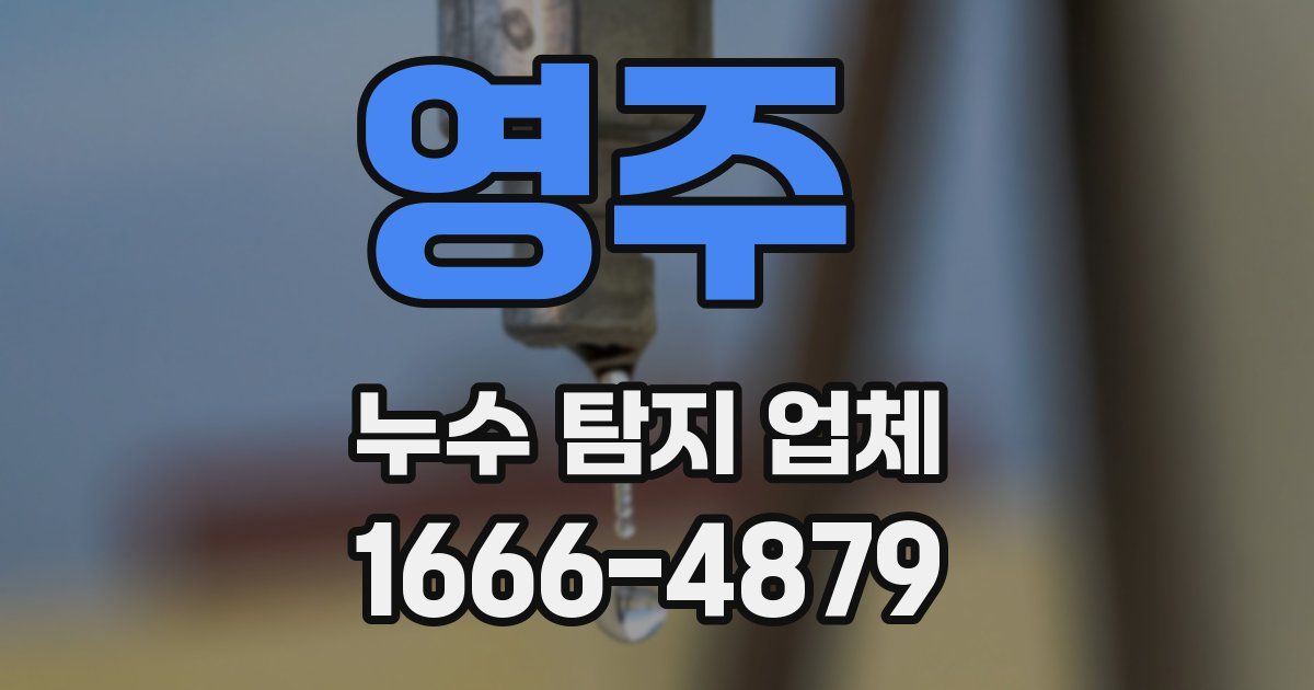영주 누수 탐지 업체