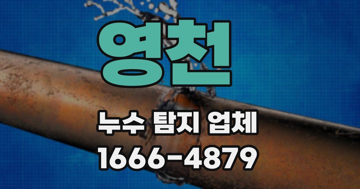 영천 누수 탐지 업체