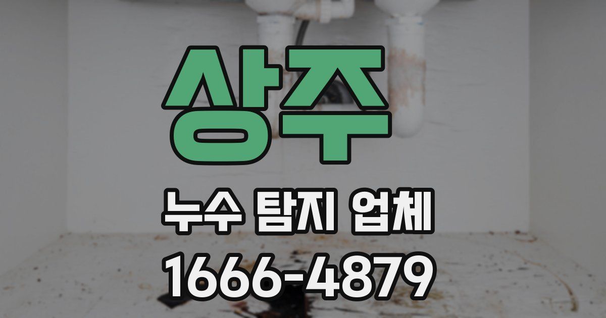 상주 누수 탐지 업체