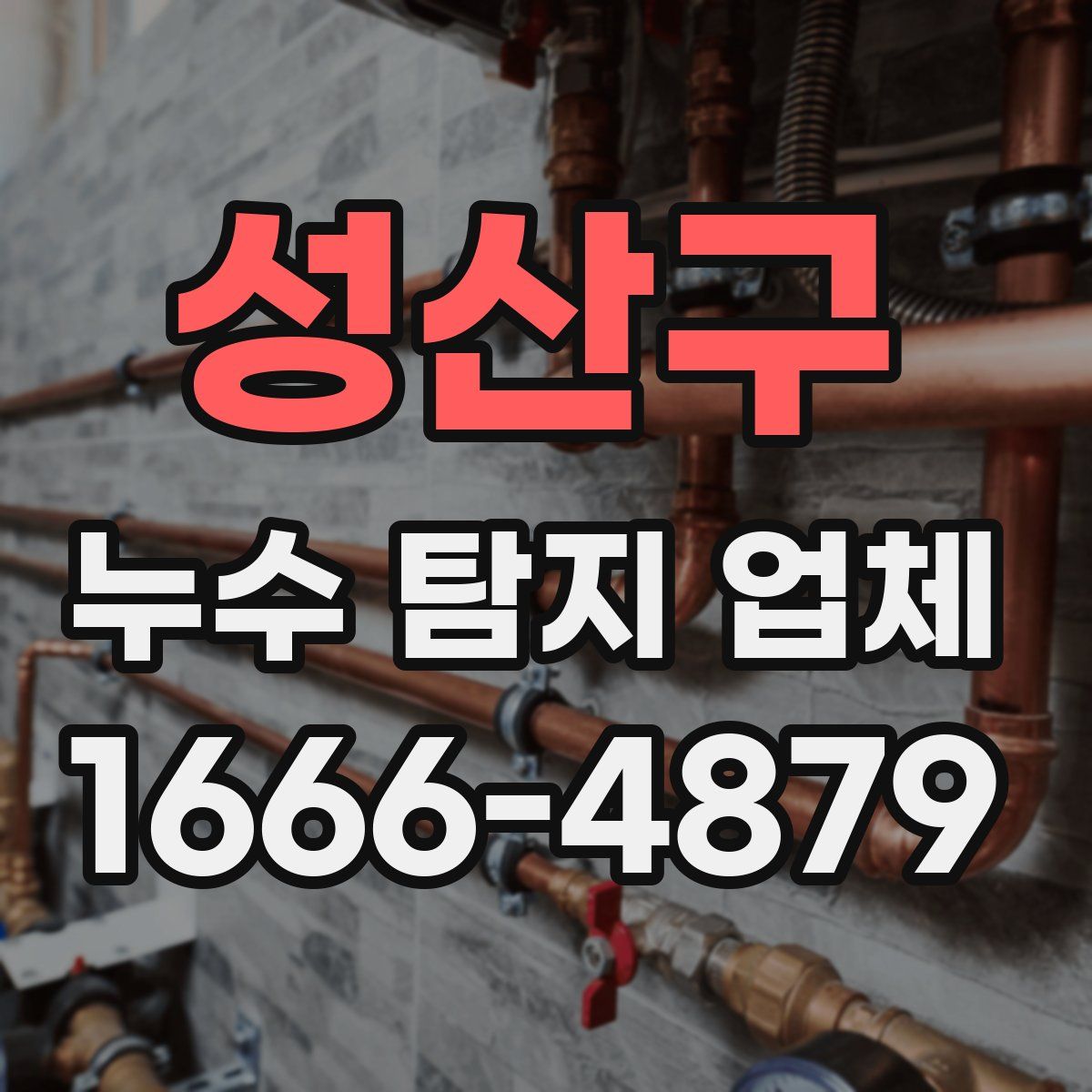 성산구 누수 탐지 업체