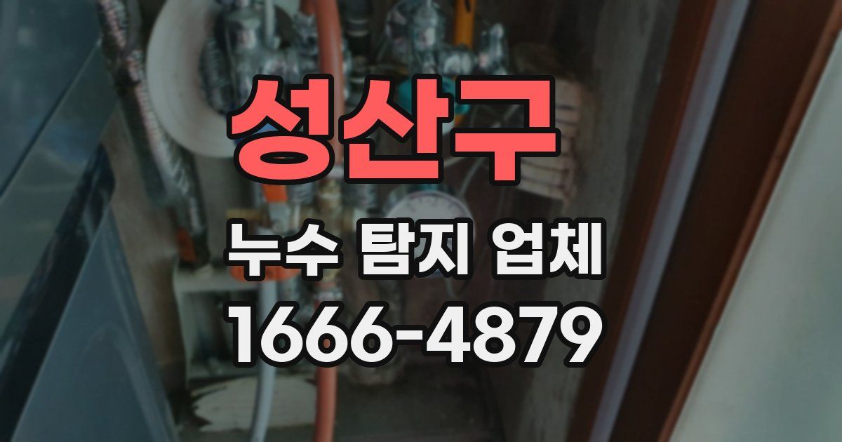 성산구 누수 탐지 업체