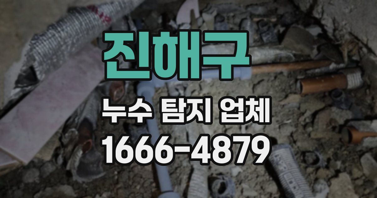 진해구 누수 탐지 업체