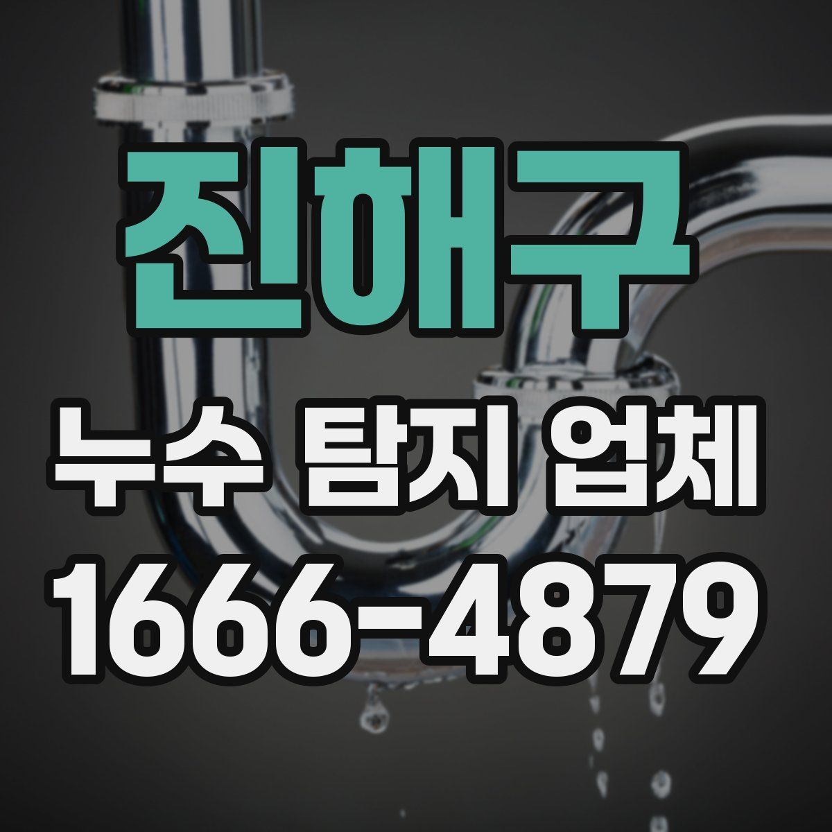 진해구 누수 탐지 업체