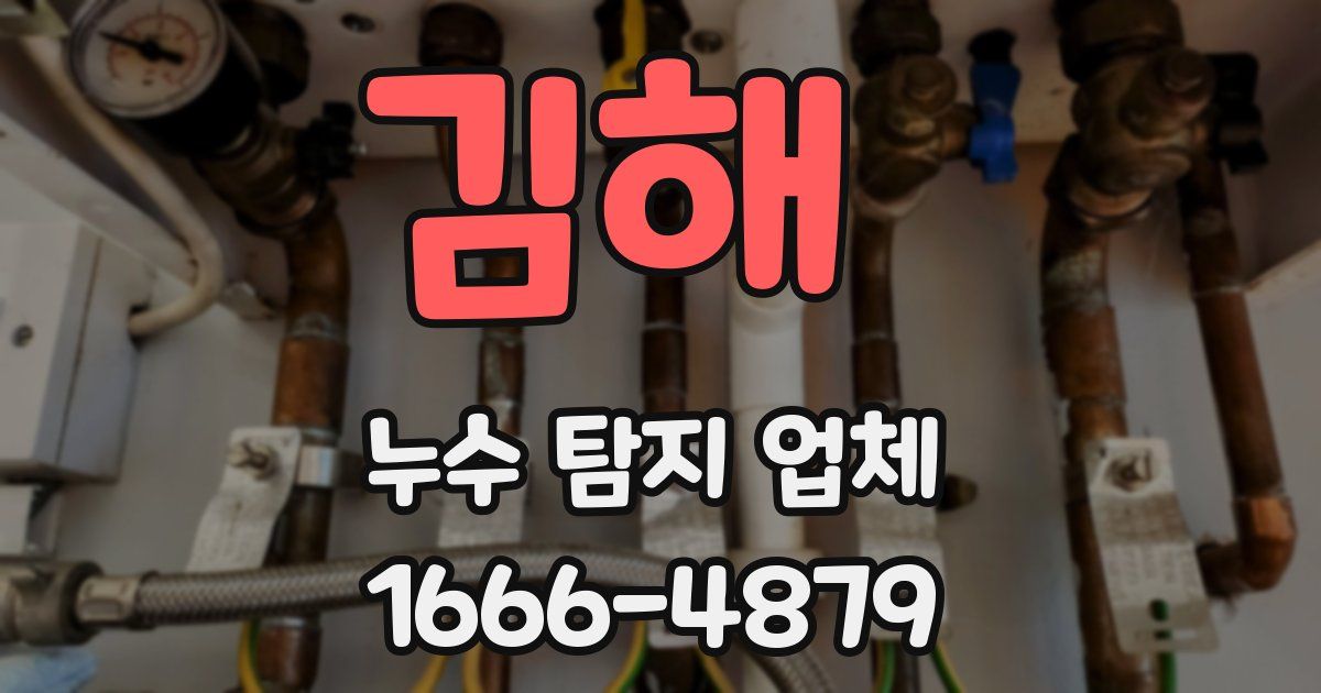 김해 누수 탐지 업체