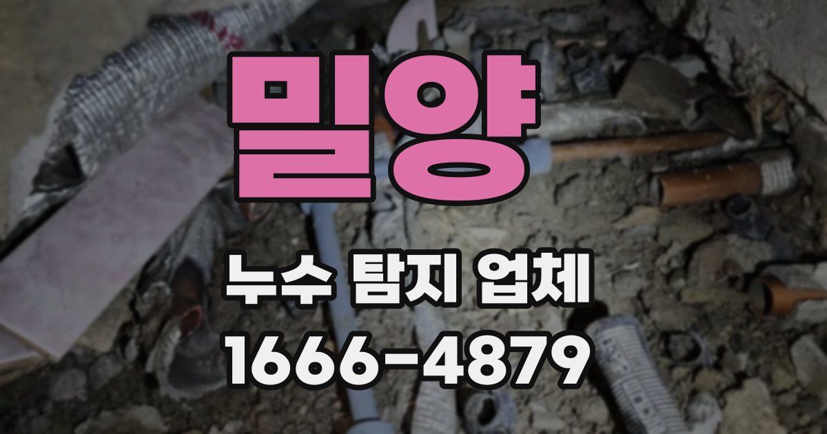밀양 누수 탐지 업체