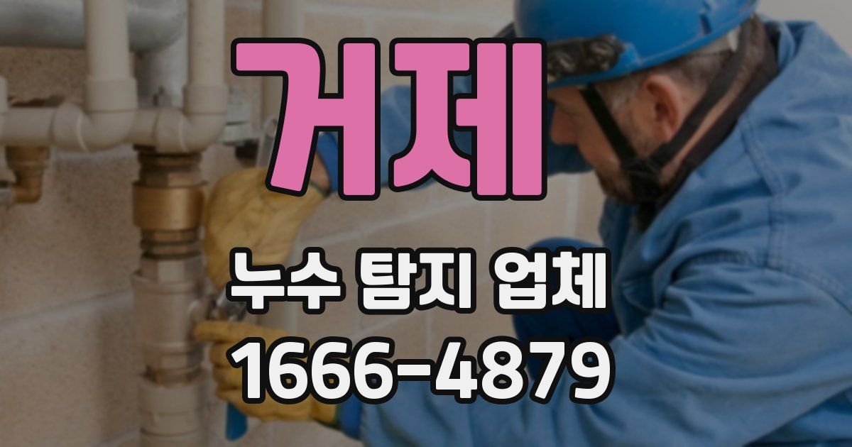 거제 누수 탐지 업체