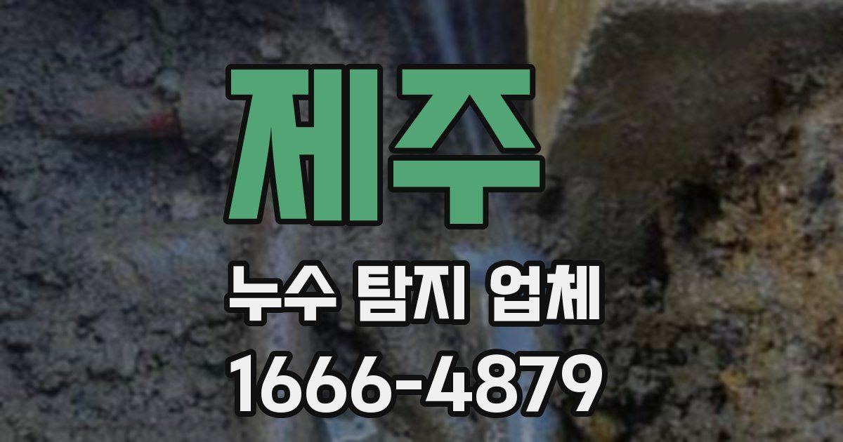 제주 누수 탐지 업체