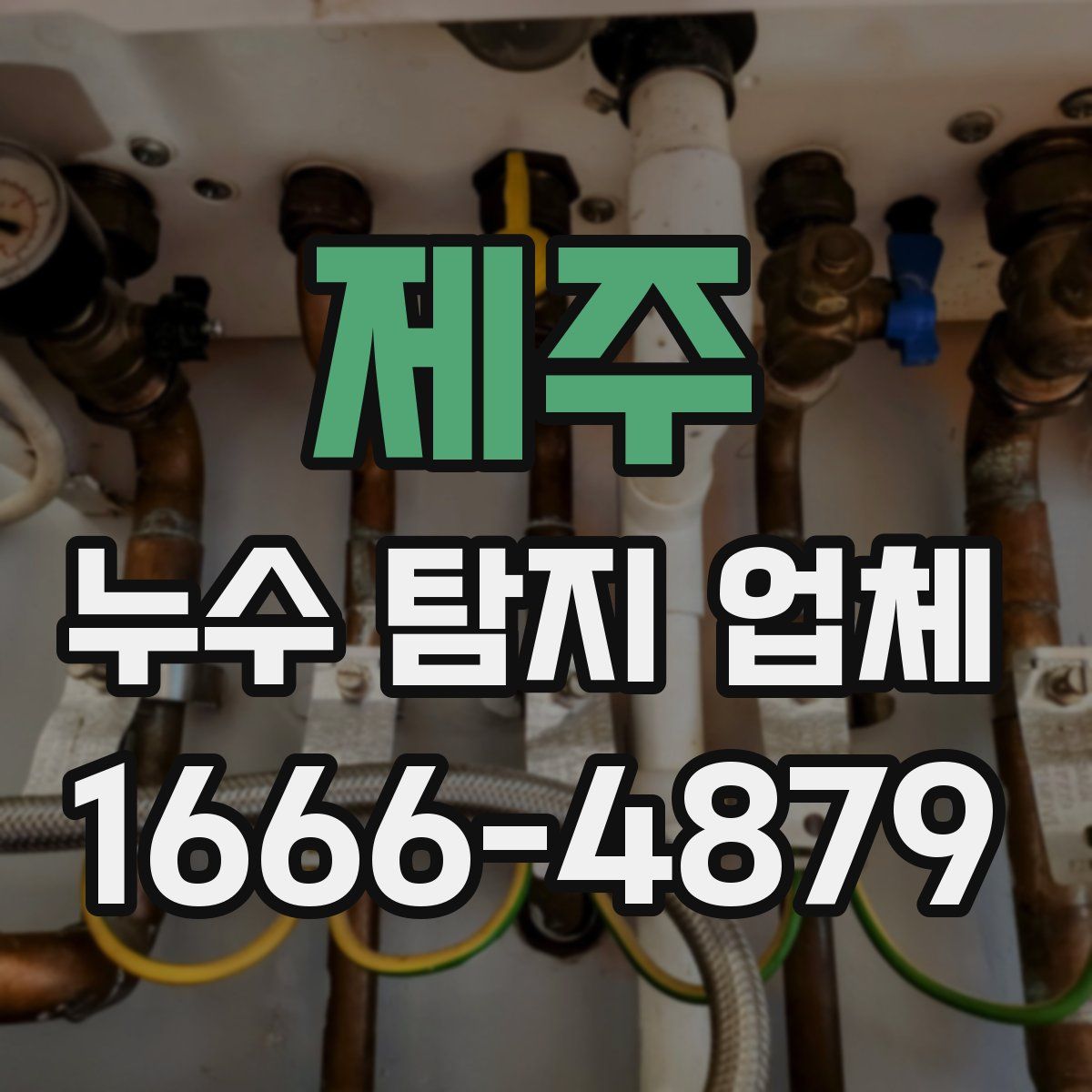 제주 누수 탐지 업체