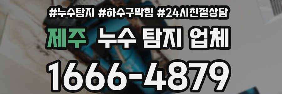 제주 누수 탐지 업체