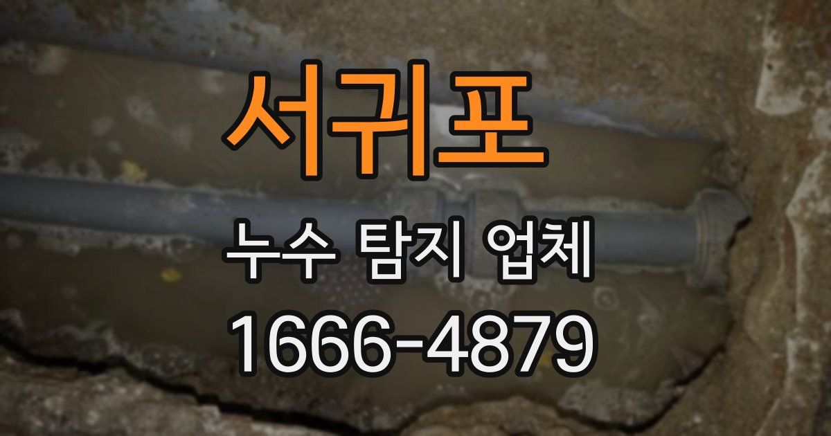 서귀포 누수 탐지 업체