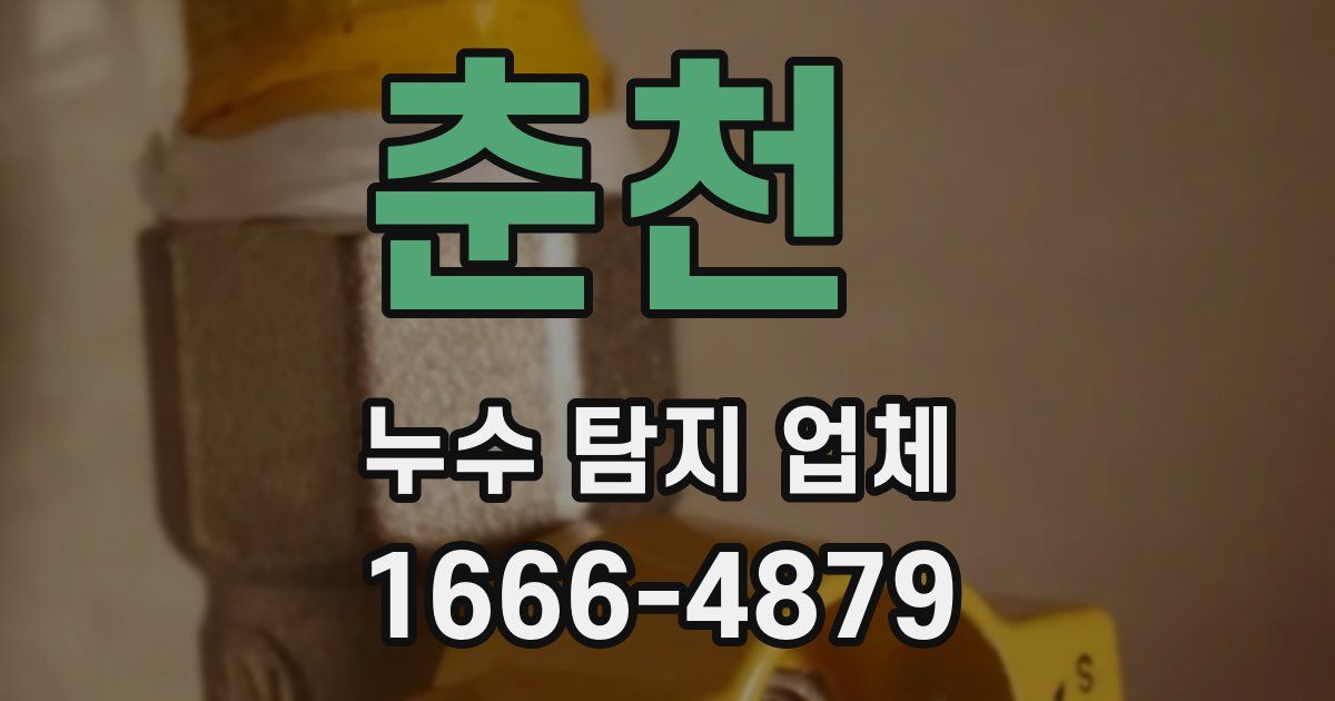 춘천 누수 탐지 업체