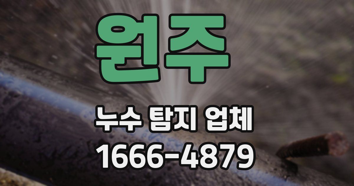 원주 누수 탐지 업체