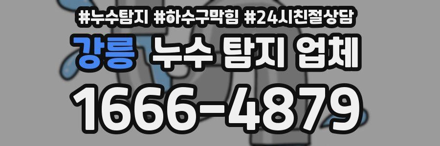 강릉 누수 탐지 업체