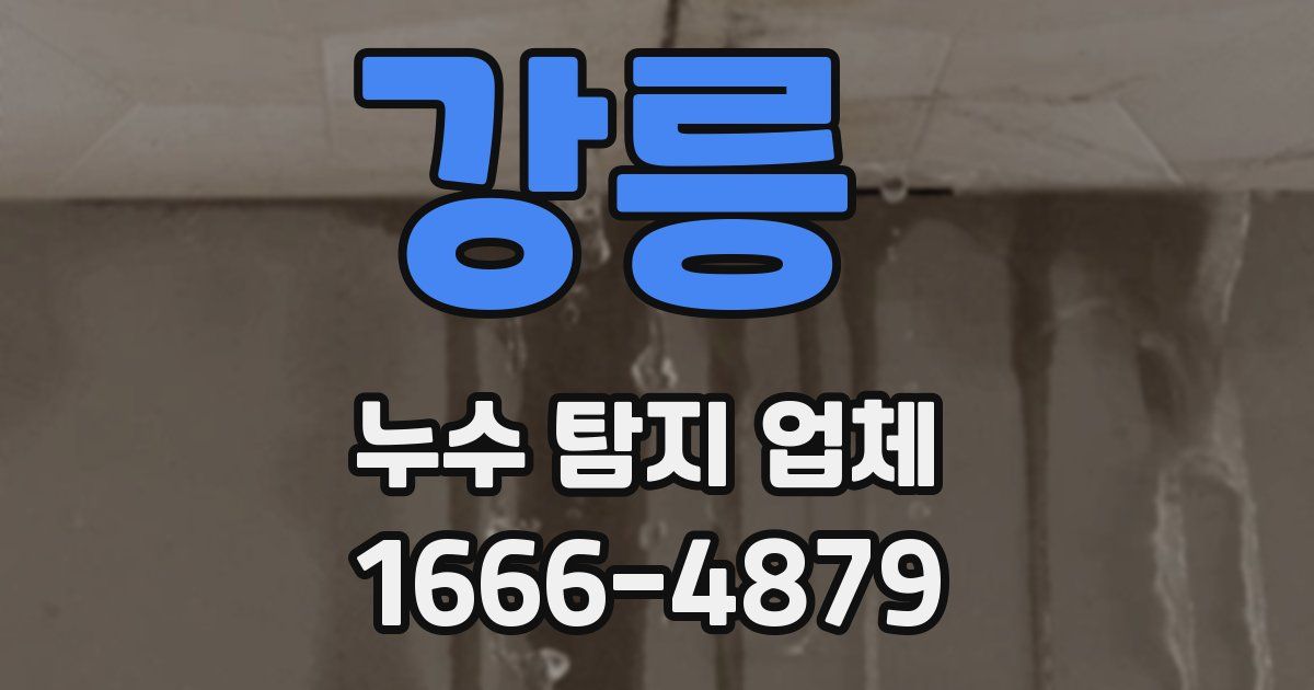 강릉 누수 탐지 업체