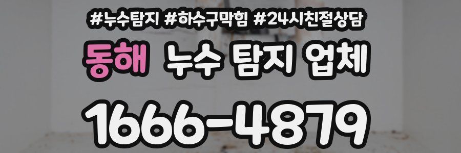동해 누수 탐지 업체