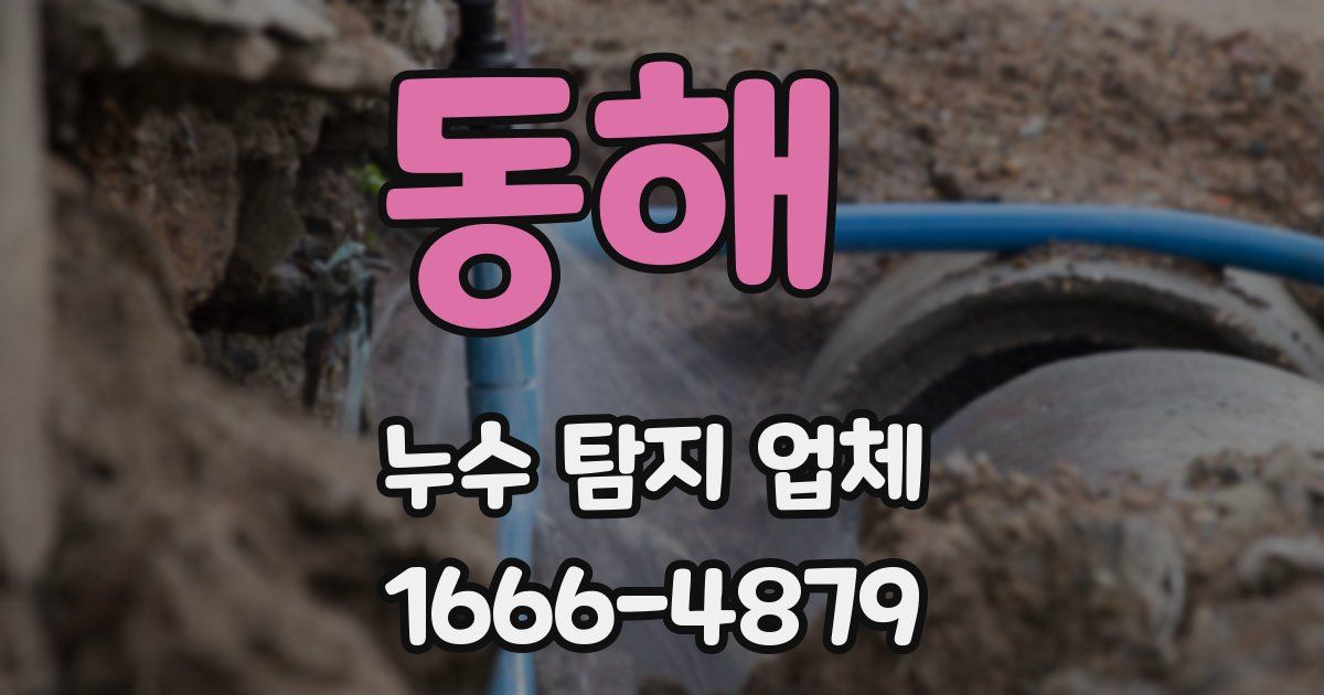 동해 누수 탐지 업체