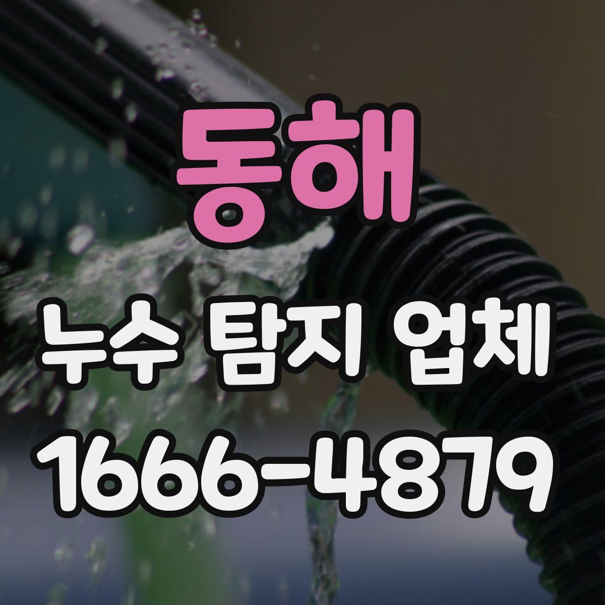 동해 누수 탐지 업체
