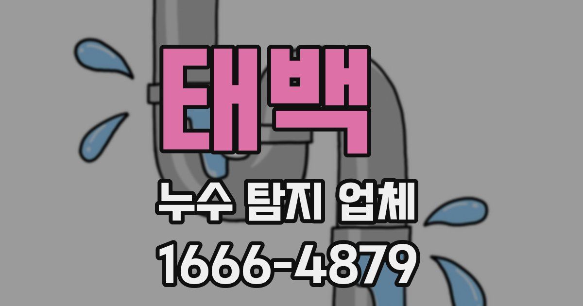 태백 누수 탐지 업체
