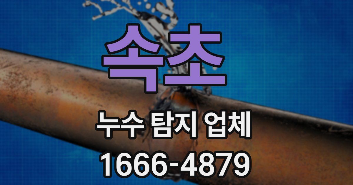 속초 누수 탐지 업체