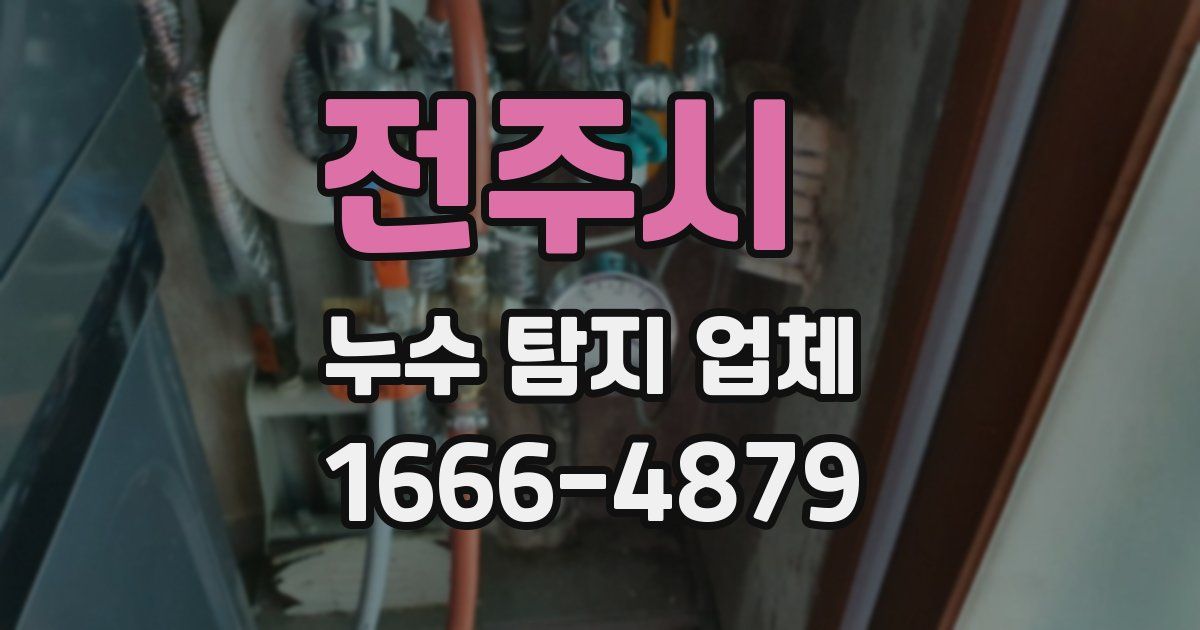 전주시 누수 탐지 업체