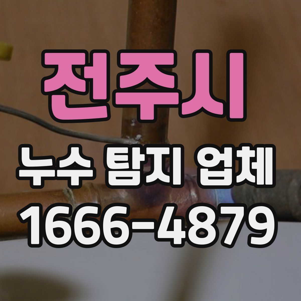 전주시 누수 탐지 업체