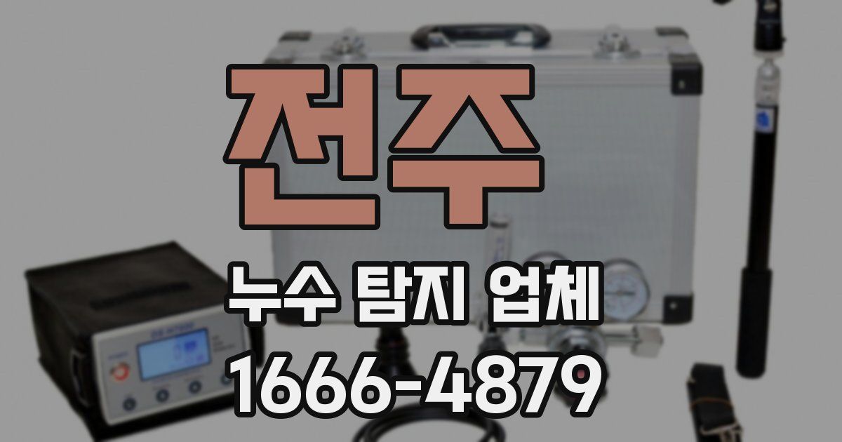 전주 누수 탐지 업체