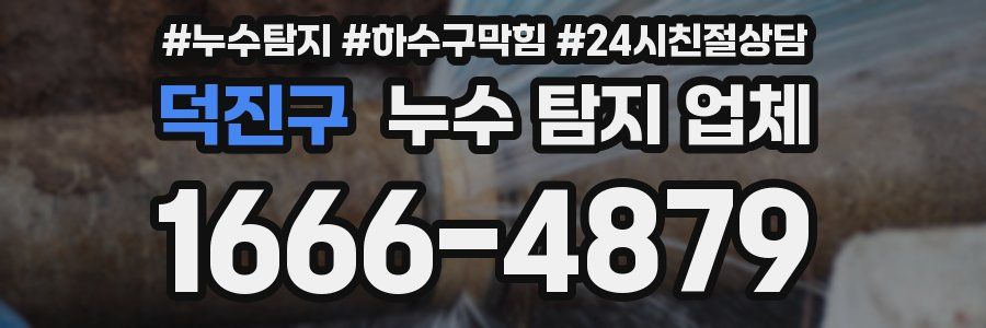 덕진구 누수 탐지 업체
