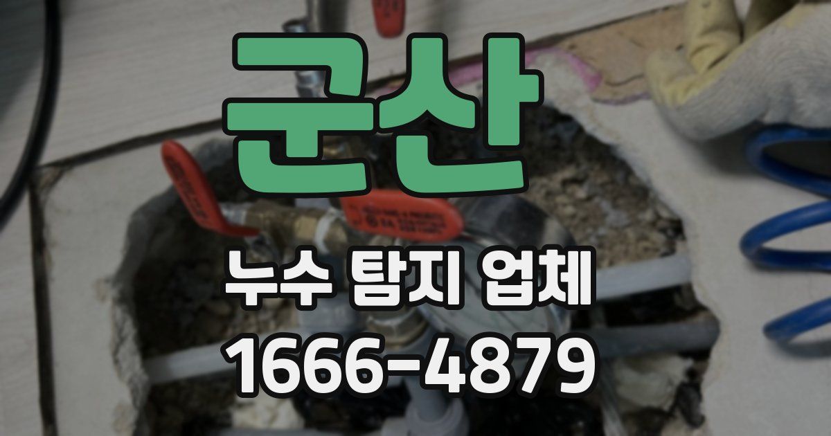 군산 누수 탐지 업체