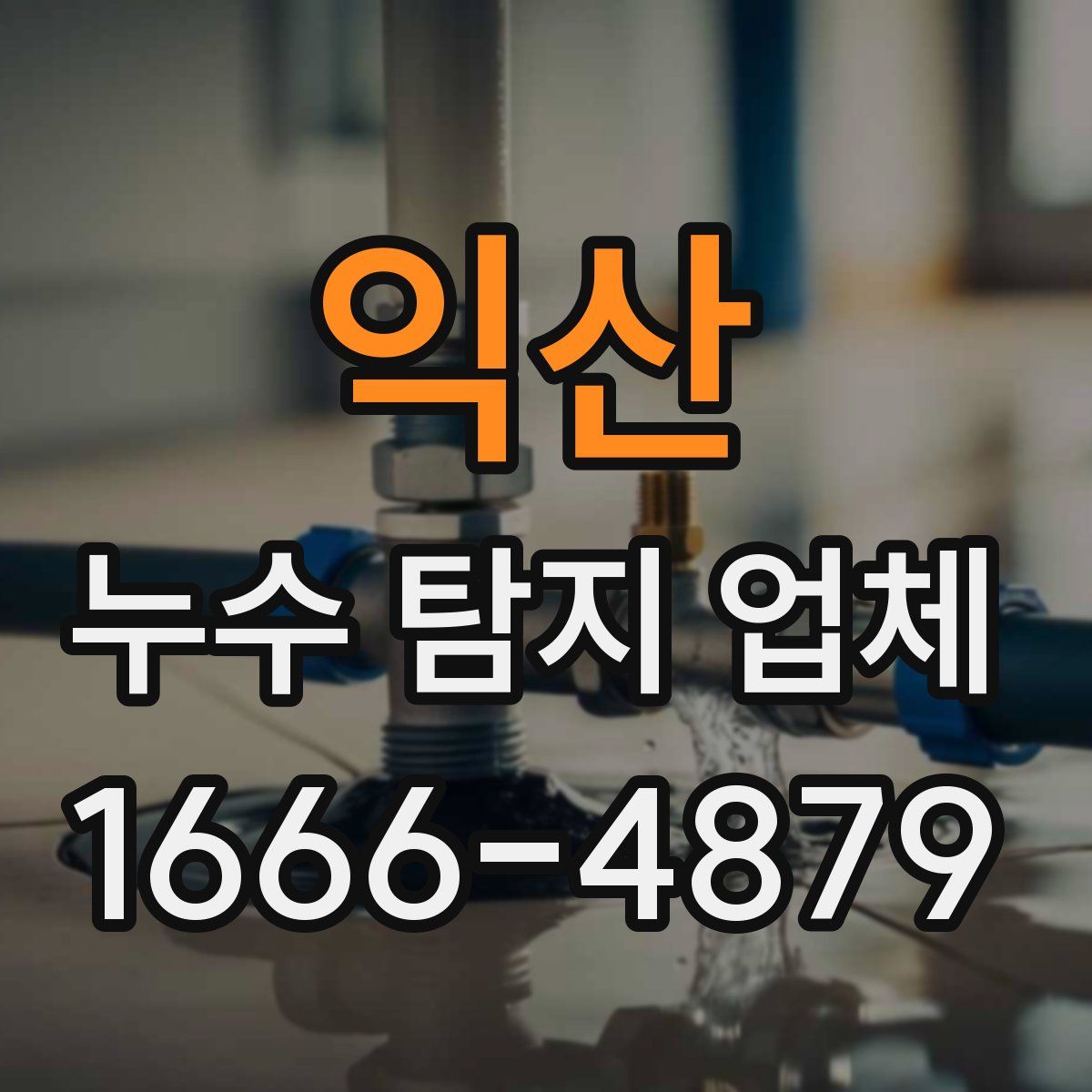 익산 누수 탐지 업체