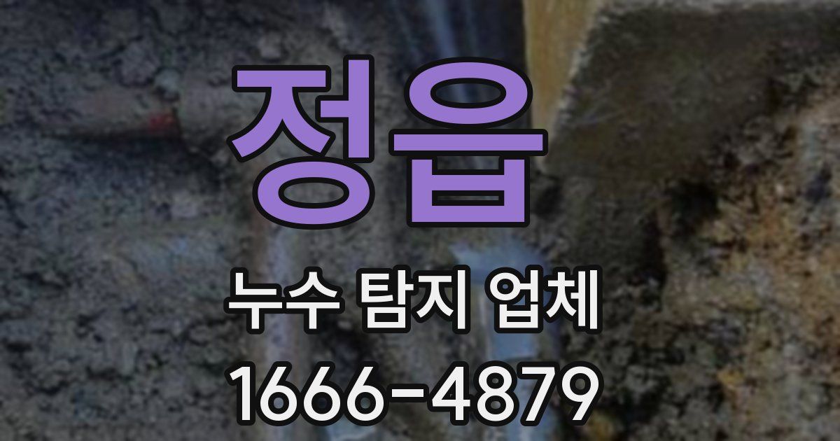 정읍 누수 탐지 업체