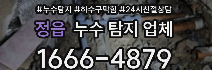 정읍 누수 탐지 업체
