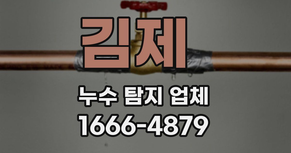 김제 누수 탐지 업체
