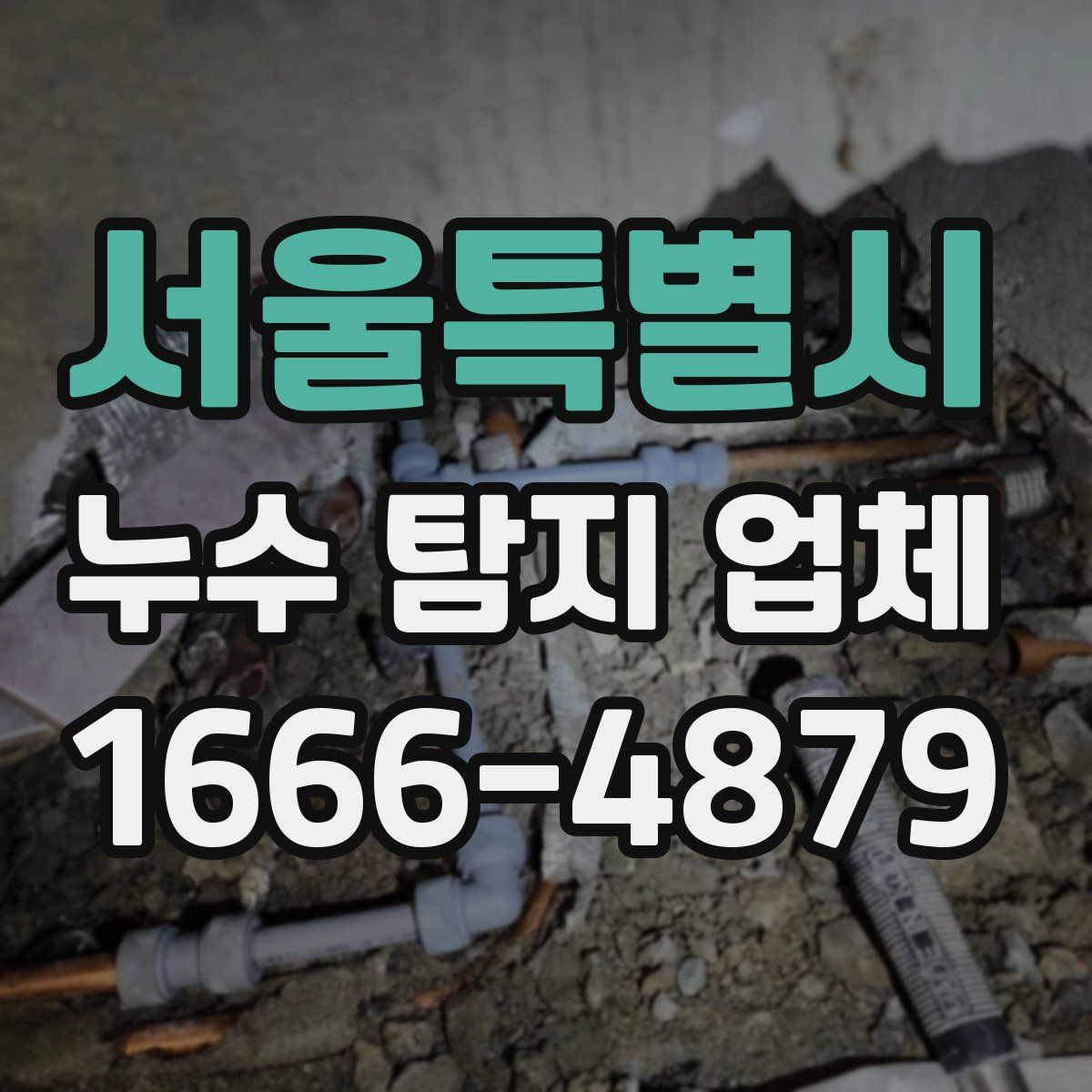 서울특별시 누수 탐지 업체