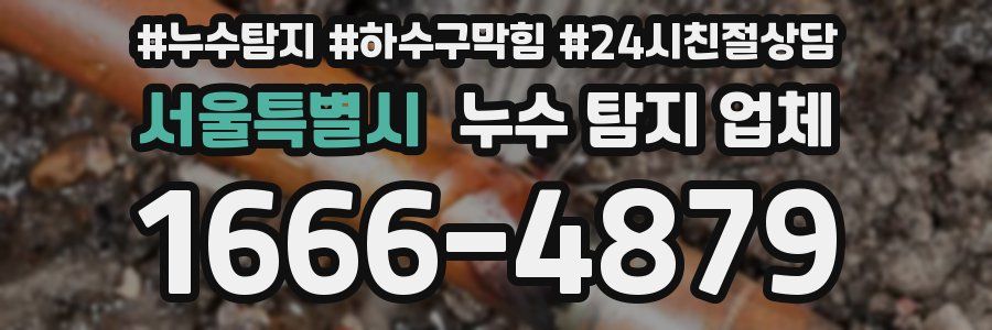 서울특별시 누수 탐지 업체