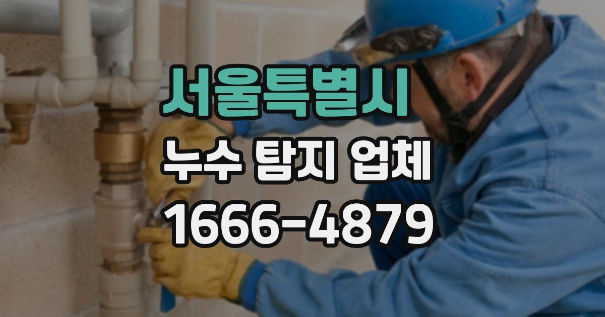 서울특별시 누수 탐지 업체