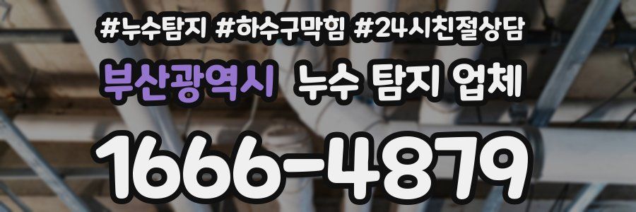 부산광역시 누수 탐지 업체