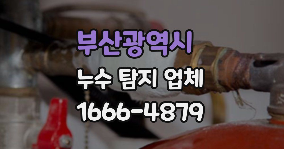 부산광역시 누수 탐지 업체